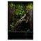Highlighted Greenery Terrarium: A Reptile Display Case
