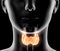 Highlighted thyroid gland of a woman, medically 3D illustration on black background