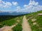 Highline and Logan Pass