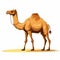 Highly Cute Camel Illustration On White Background