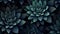 Highly Detailed Blue Succulent Illustration On Mysterious Dark Background