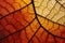 A highly detailed and close-up photograph capturing the intricate texture of a leaf, showcasing its natural beauty, Autumn leaf