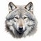 Highly Detailed Grey Wolf Face Drawing - Intense Color Saturation