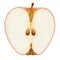 Highly detailed high quality realistic Apple illustration