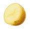 Highly detailed high quality realistic potato illustration