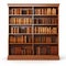 Highly Detailed Illustration Of Empty Bookcase With Brown Books