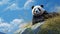 Highly Detailed Illustration Of A Panda Bear Resting On A Rock