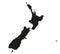 Highly Detailed New Zealand Silhouette map.