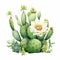 Highly Detailed Watercolor Cactus Plants With White Blooms