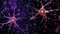 A highly detailed zoomed-in view of neurons with glowing nuclei and intricate dendrites against a dark background.