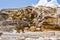 Highly Geothermal Landscape of Yellowstone National Park