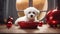 highly intricately detailed photograph of Cute Bichon Havanese puppy dog is lying beside a red bowl