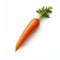 Highly Realistic Carrot Isolated On White Background With Clipping Path