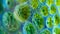 A highly zoomedin view of a of chloroplasts the organelles responsible for photosynthesis in plant cells. The