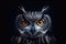 Highresolution Photography Captures Owls Eerie Beauty On Dark Background