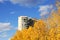 Highrise apartment with autumn leaves