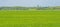 Highrise on the horizon of a bright green meadow in sunlight in spring,