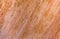 Hight resolution natural woodgrain texture background