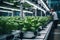 Hightech Agriculture Farm Using Ai For Food Production