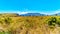 The Highveld plateau at the Blyde River Canyon along the Panorama Route