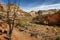 Highway 24 Through Capitol Reef National Park.