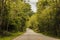 Highway asphalt road with road curve sign in the green forest