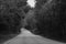 Highway asphalt road with road curve sign in the green forest