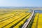 Highway on autumn paddy fields