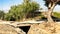 Highway desolated by the floods in Orihuela