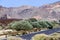 Highway in Los Roques de Garcia, emblematic Teide Volcano of island of Tenerife