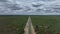 The highway between Nata and Kazungula in Botswana, Africa