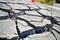 highway pavement buckled and broken from seismic activity