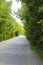 Highway Road, car rides in the tunnel natural arches of foliage