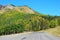 Highway in Sheep River Valley