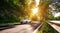 Highway into Silent Forest in spring with beautiful bright sun rays