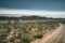 Highway street empty with green Kazakhstan Steppe view