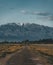 Highway street empty with green Kazakhstan Steppe view