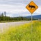 Highway warning roadsign attention moose crossing