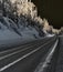 Highway through a wild snow covered arctic forest at night