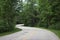 Highway winding and twisting through lush green forest.