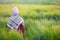 hijabi Palestinian female girl standing amidst green plants of wheat at farm wearing Palestine Kufiya