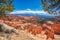 Hike the Bryce Canyon National Park Sandstone Formations