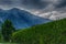 Hike from Chamonix up to La Jonction glacier des Bossons. Mont Blanc Massif, French Alps, Chamonix, Bosson Glacier, France, Europe