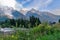 Hike from Chamonix up to La Jonction glacier des Bossons. Mont Blanc Massif, French Alps, Chamonix, Bosson Glacier, France, Europe