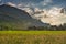 Hike in Meiringen with a view of the Swiss Alps, summer