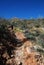 Hike in Saguaro National Park