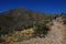 Hike in Saguaro National Park