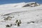 A hike in winter, towards the chalet