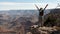 Hiker Active Woman Walks The Edge Of Grand Canyon Cliff And Raises Her Arms Up