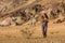 A hiker in the Artist`s Palette landmark place in Death Valley National Park, Geology, sand